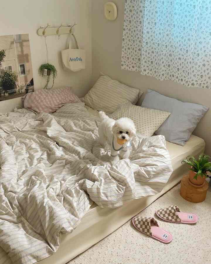 パステル調の白い寝室、ストライプの寝具と小さな犬が配置された雰囲気のある空間