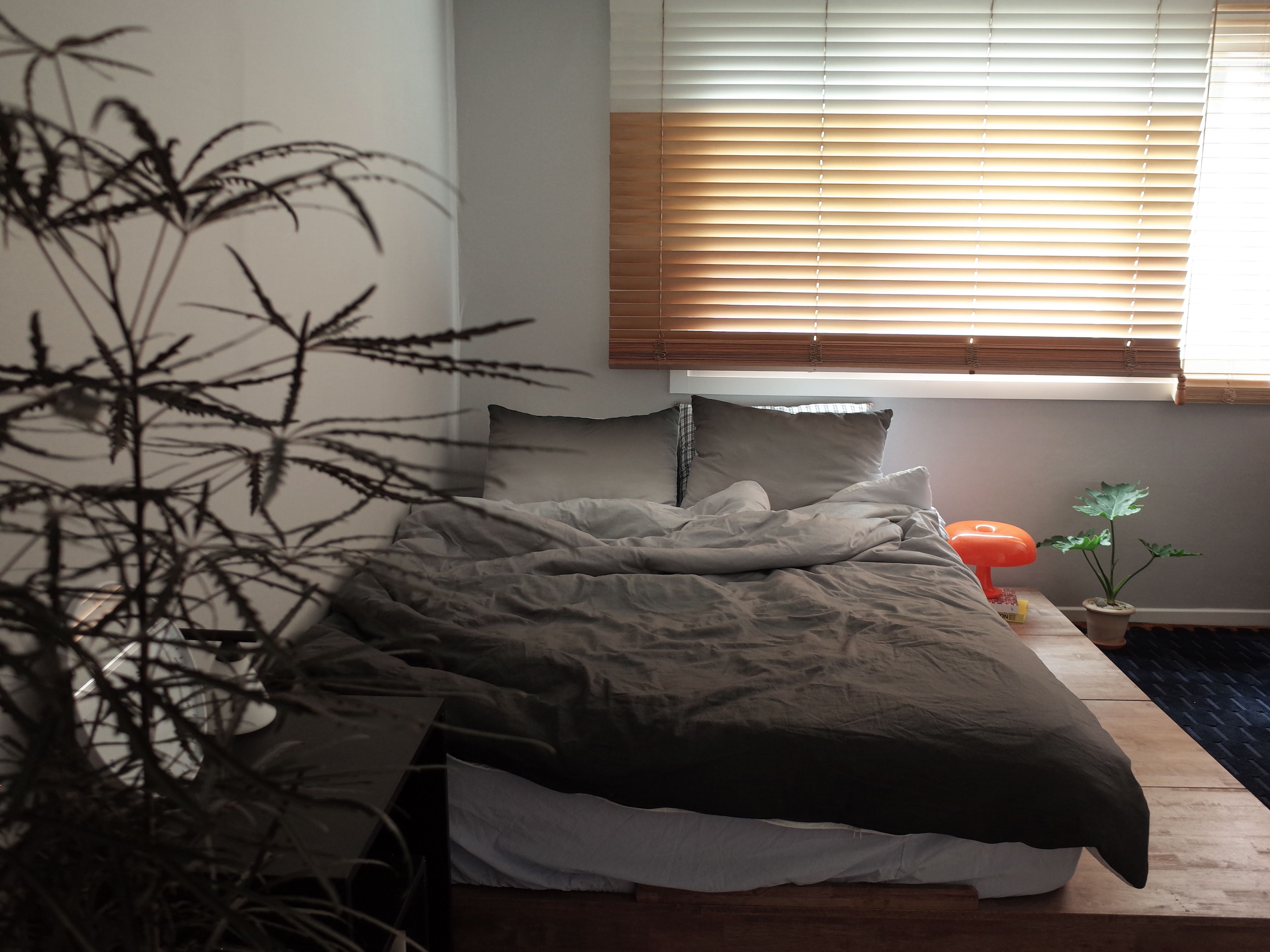 Pure Cotton Basic Fitted Sheet user photo