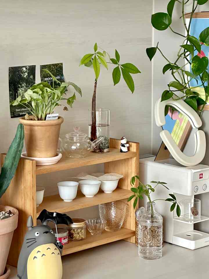 明るいホワイトの壁と木目調の棚が配置されたキッチン空間、茶器と植物が調和した自然な雰囲気のインテリア