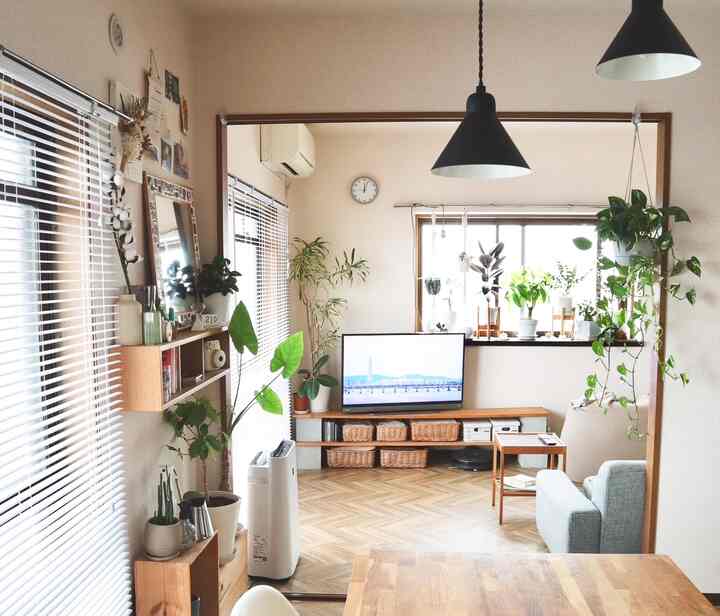 🇯🇵 賃貸でもDIYで心地よい空間に～3DKの植物のある暮らし～
