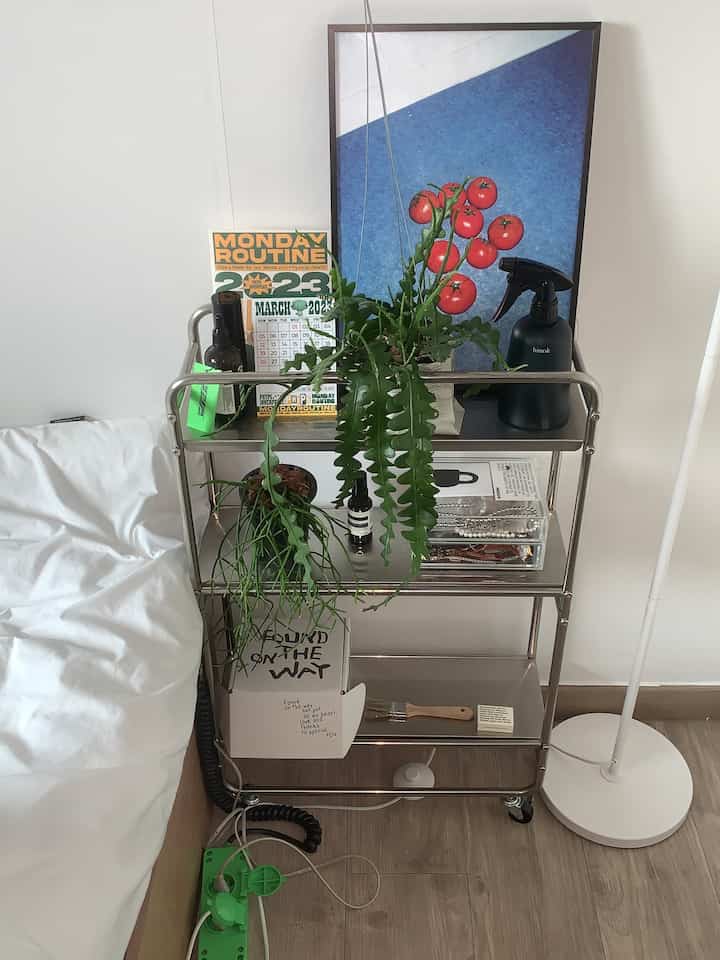 白い壁と木目調の床の寝室に設置されたステンレス製サイドテーブルに植物と小物が配置された、落ち着いた印象の空間