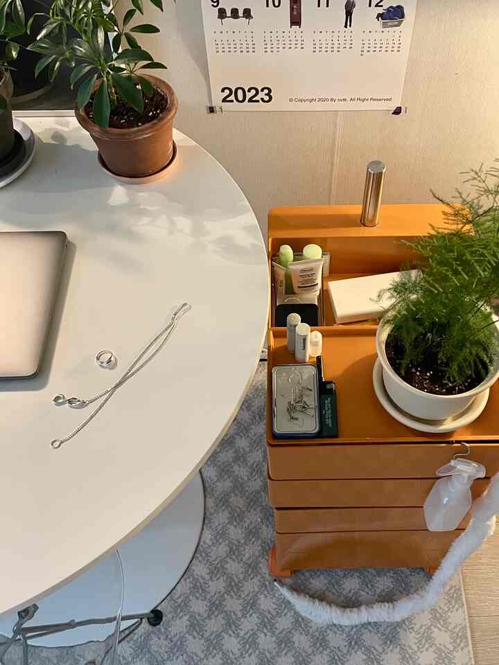 白と茶色のトーンが特徴的な室内、丸いダイニングテーブルにジュエリーのオブジェ、観葉植物、多機能なオレンジ色の収納トロリーが配置された雰囲気のある空間