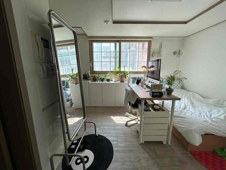 ホワイトとナチュラルカラーのワンルーム、ベッドとデスクが配されたシンプルで植物のある落ち着いた書斎空間