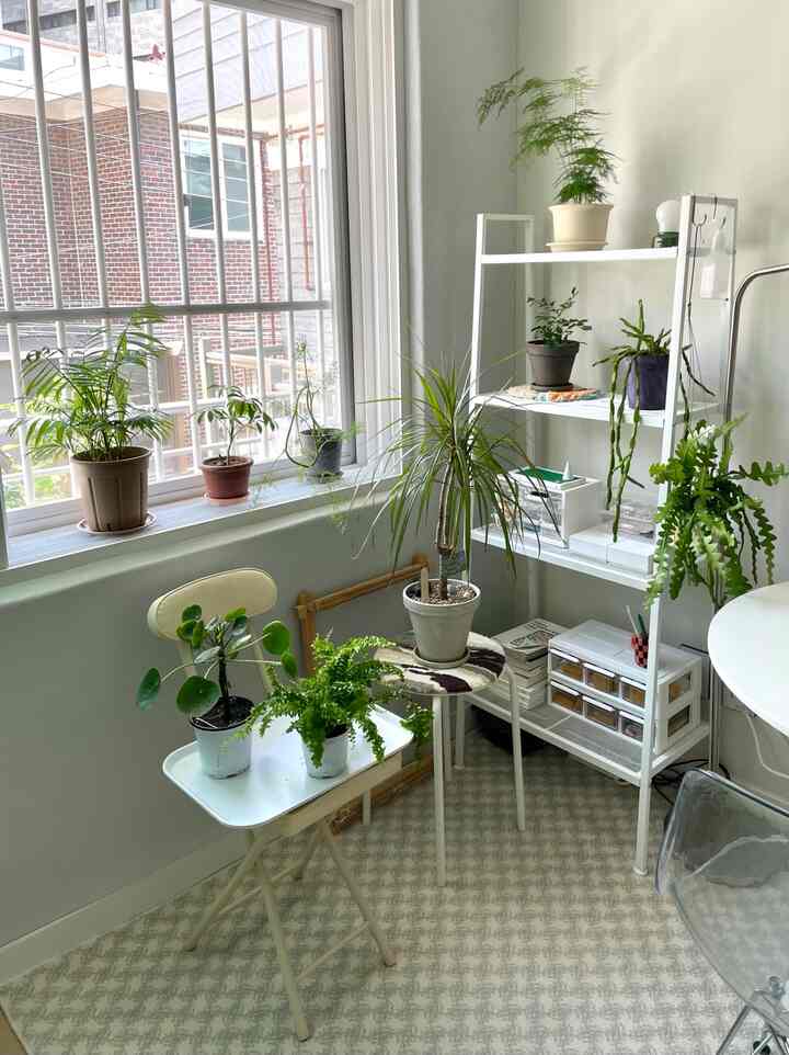 白色の壁と棚、窓辺に多様な緑の植物が置かれた自然で落ち着いたインテリア