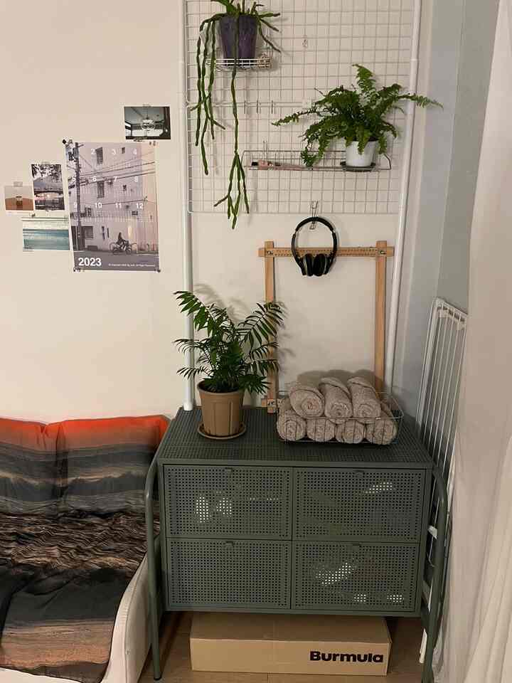 グリーン色の収納と植物が配置されたシンプルな一人暮らしの寝室空間