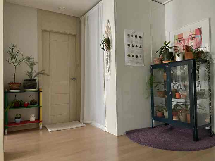 ナチュラルな色調の床と扉の間、白いカーテンと植物が並んだガラスキャビネットのある居心地の良い玄関スペース