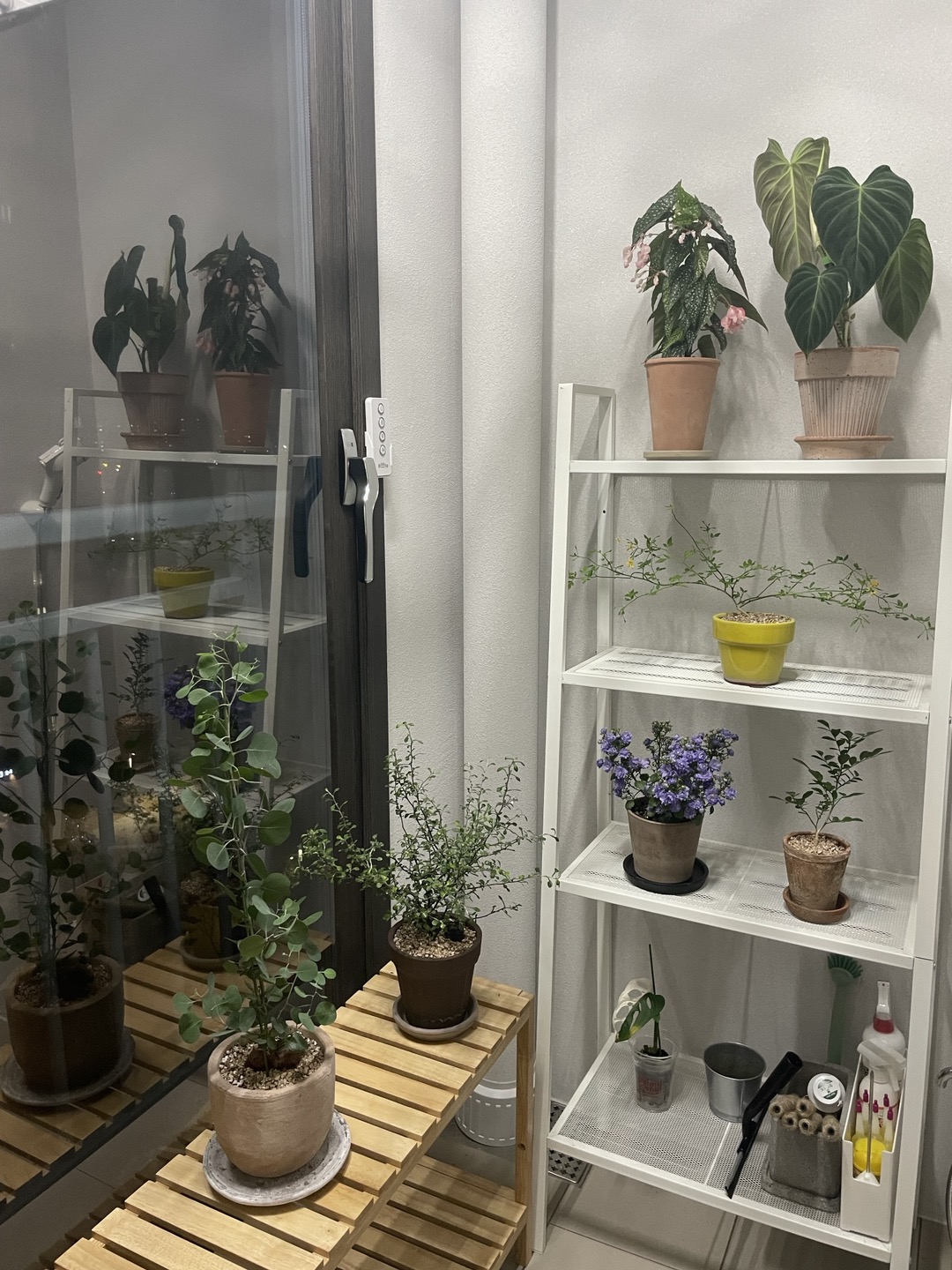 Solid Wood Plant Stand user photo