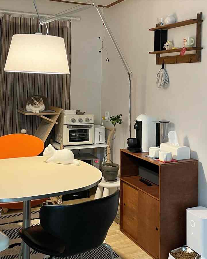 木目調と白を基調とした小さなリビングスペース、猫とホームカフェの要素がある落ち着いた雰囲気のインテリア