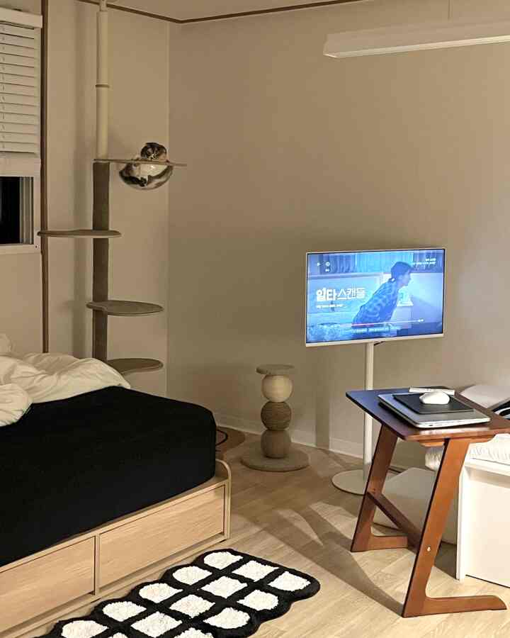 明るいベージュの壁と木製家具のある寝室、黒い寝具とキャットタワー、テレビ台が配置された雰囲気のあるインテリア