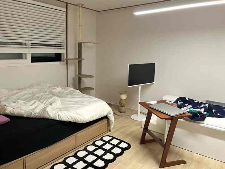 白と木目調のワンルーム寝室、ベッドとキャットタワーが配置された清潔で居心地の良い空間