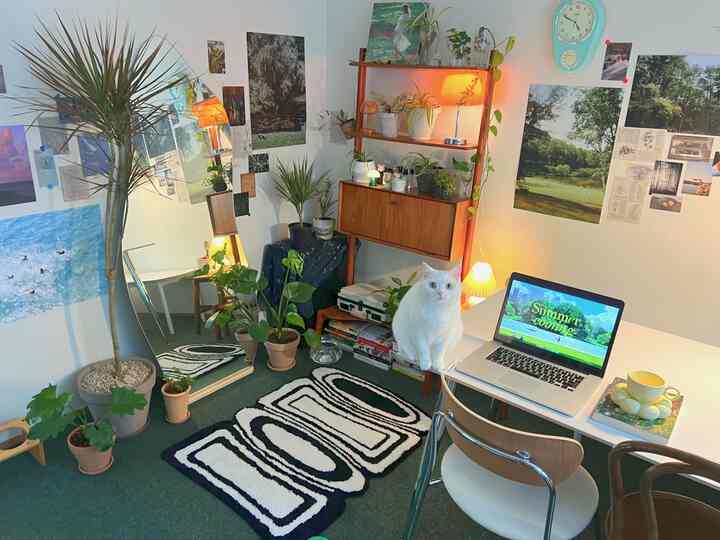 緑色の床と多様な植物、曲線型の全身鏡、木製の棚が配置された温かみのあるヴィンテージ風のミッドセンチュリーモダンなフォトゾーン空間