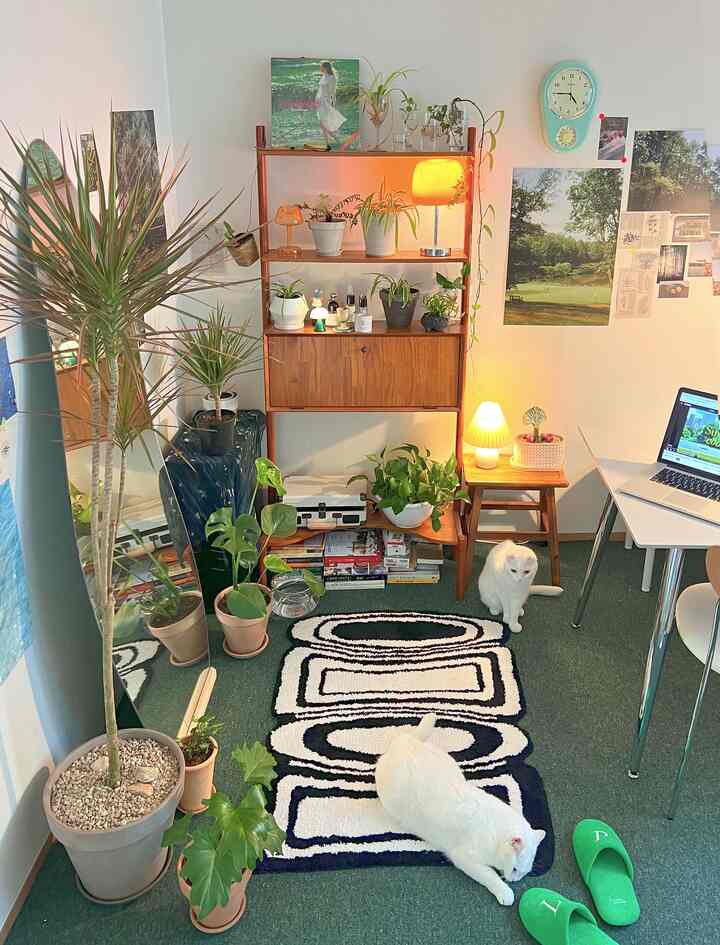 ナチュラルカラーとミッドセンチュリーモダン家具が配置されたコンパクトなリビング、複数の植物やラグ、白い猫がいる雰囲気のある空間