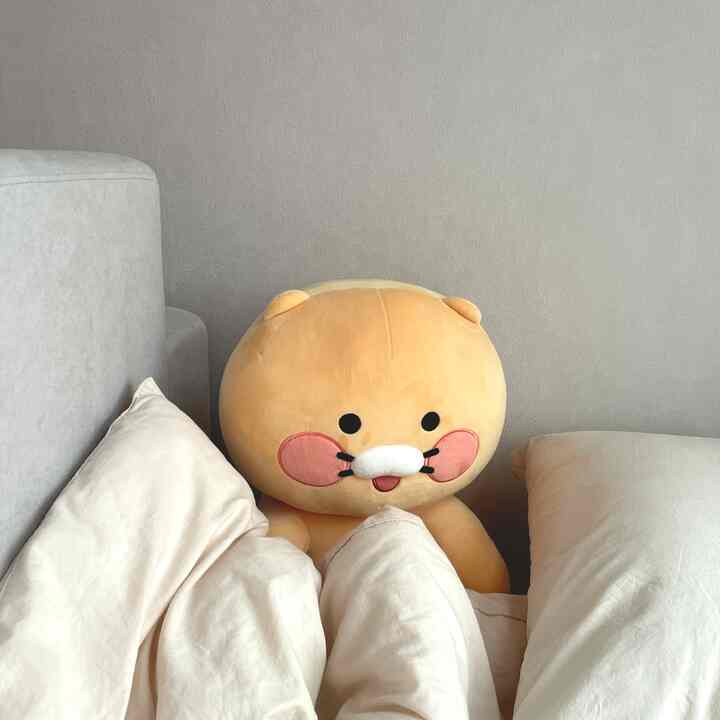 淡いグレーの壁とソファ、枕が配置された居心地の良い寝室空間に大きなキャラクター人形「チュンシク」が置かれたリラックスした雰囲気のインテリア