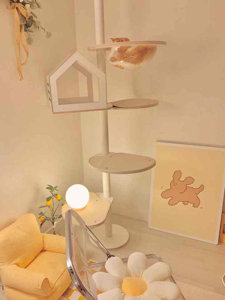 暖かいアイボリー色調のベランダのホームオフィス、透明なキャットカプセルと黄色のギンガムチェックチェアが配置された雰囲気のある空間