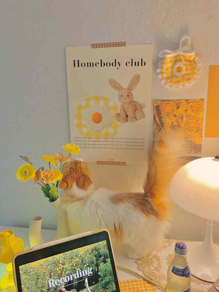 温かみのある黄色のトーンのキッチンスペース、黄色の花瓶とバター色のポスター、猫がいる雰囲気のあるインテリア