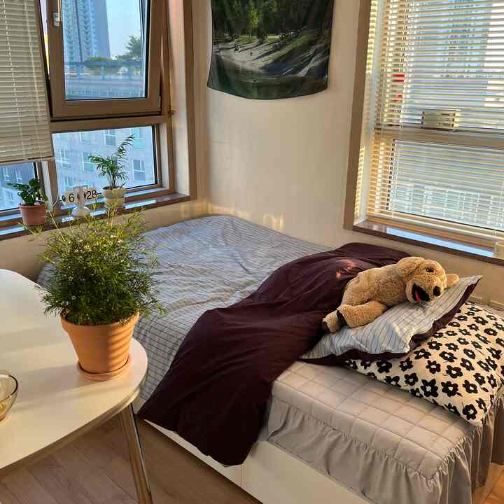 暖かい陽射しが差し込むナチュラルスタイルのワンルーム寝室、白いベッドとバーガンディの寝具、植物が調和する空間