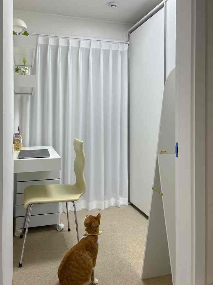 ホワイトとベージュの色調のコンパクトなウォークインクローゼット、デスクと椅子を配し、猫がいる落ち着いた作業空間