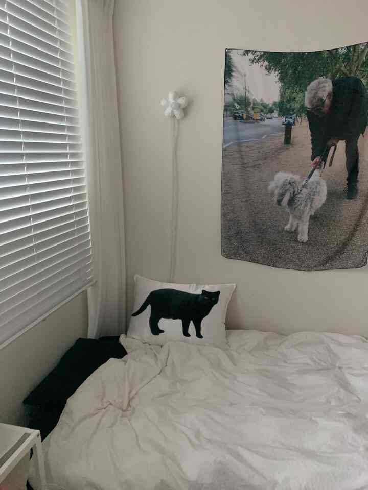 白と黒を基調とした寝室、窓際にウッドブラインドと猫の絵があるクッション、犬と人が写った壁の写真がある雰囲気のある空間