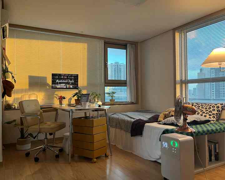 🇰🇷 植物で彩られるワンルーム、余白は光で埋めたインテリア