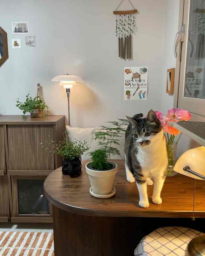 ナチュラルな雰囲気のリビング、木製のテーブルの上に猫と複数の鉢植えが配置された温かみのあるインテリア