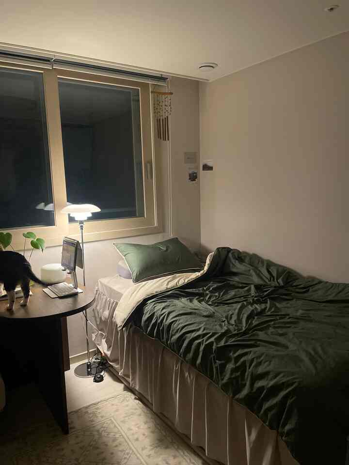 温かみのあるベージュとディープグリーンの色調の狭い寝室、高いマットレス付き収納ベッド、コンパクトな家具配置と猫がいる居心地の良い空間