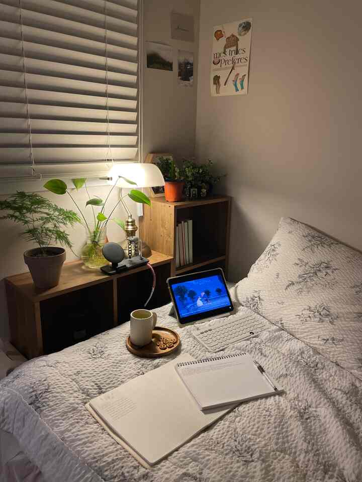 白と木目調が調和した寝室、植物と照明が配置された居心地の良い読書空間