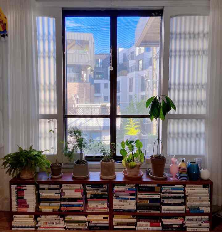 白いカーテンと南向きの窓があるリビング、木製の本棚の上に多様な植物と花瓶が置かれた自然な雰囲気のあるインテリア