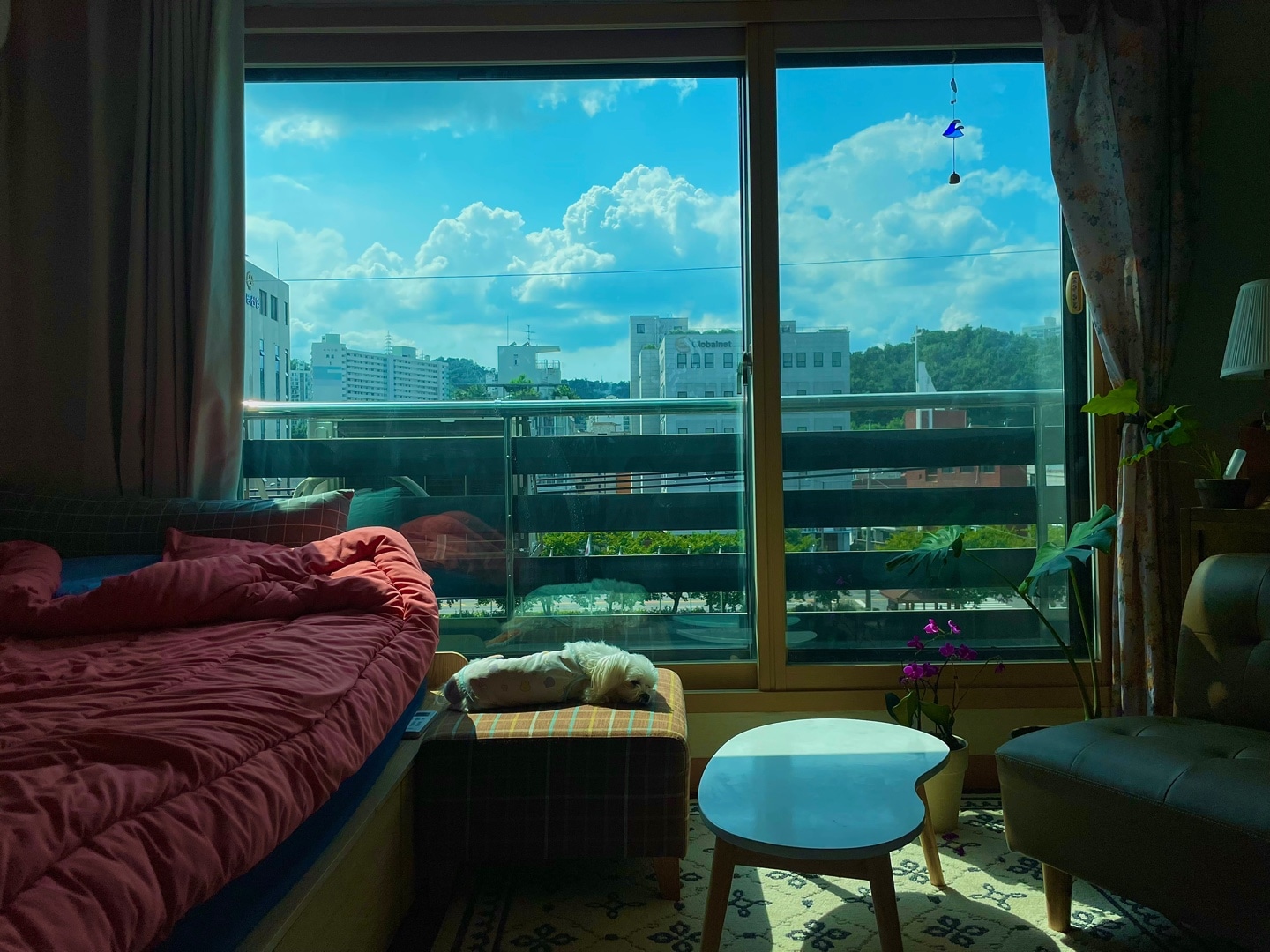 Mono Vintage Tile Rug user photo