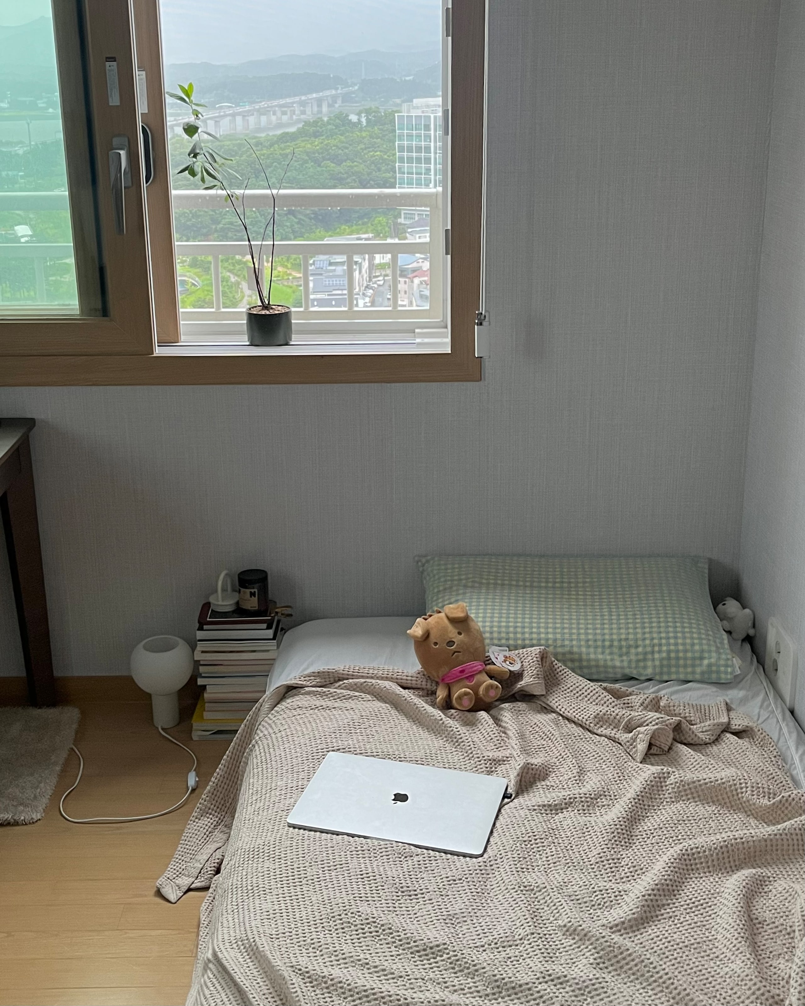 Doze High-Density Cotton Mattress Fitted Sheet user photo