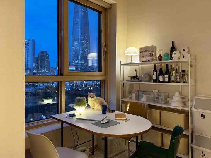 白を基調としたダイニングルーム、大きな窓の外に夜の街並みとテーブルの猫、棚とダイニングチェアが配置された雰囲気のある空間