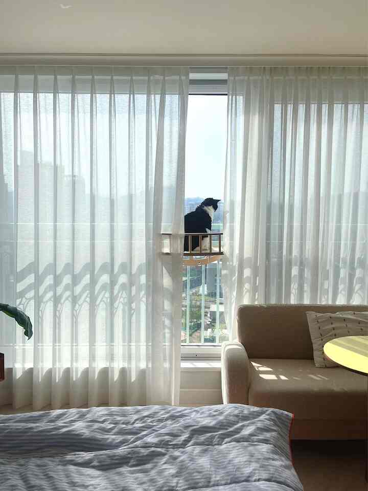 明るい白いカーテンとベージュのソファがあるワンルームのリビング、窓際に設置されたキャットタワーに猫が座り、外を見つめる雰囲気のあるインテリア