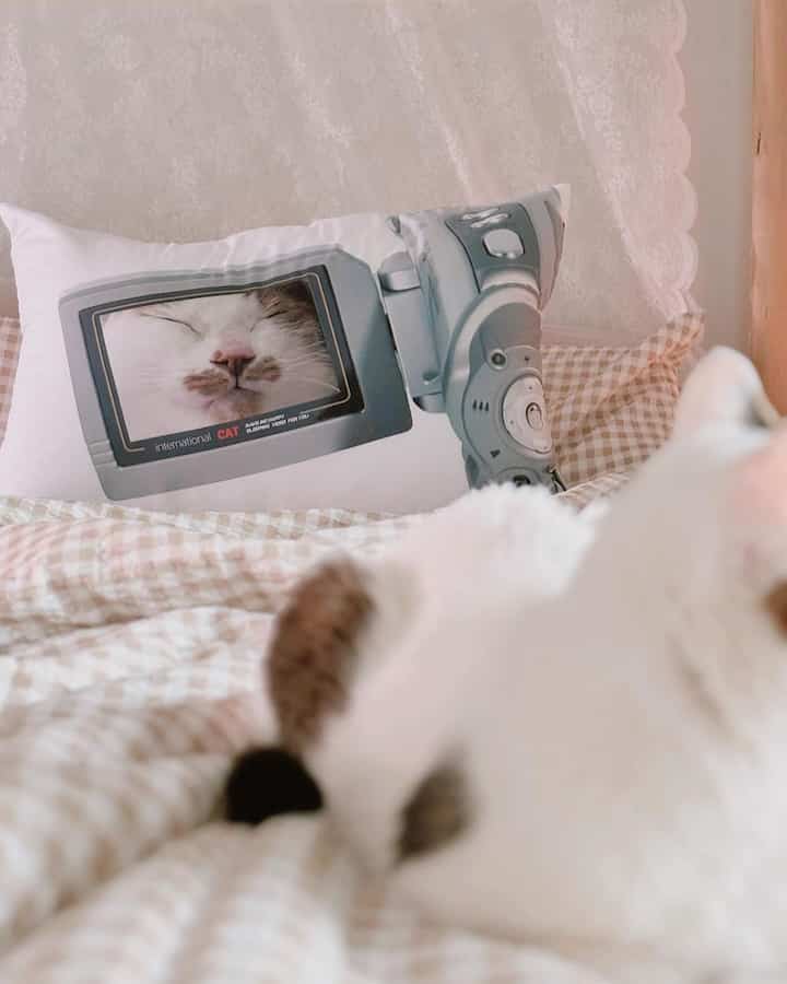 淡いベージュとアイボリーの色調の寝室、チェック柄の布団と猫の写真がプリントされた枕が置かれた温かみのある空間