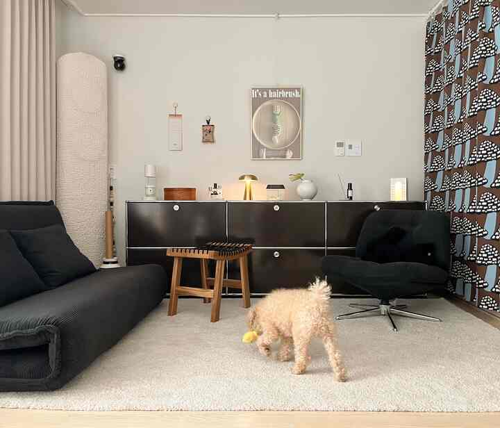 ベージュとブラックの色調のリビング、小型犬が中央でおもちゃで遊んでいる、モダンで自然な家具が配置された印象的な空間