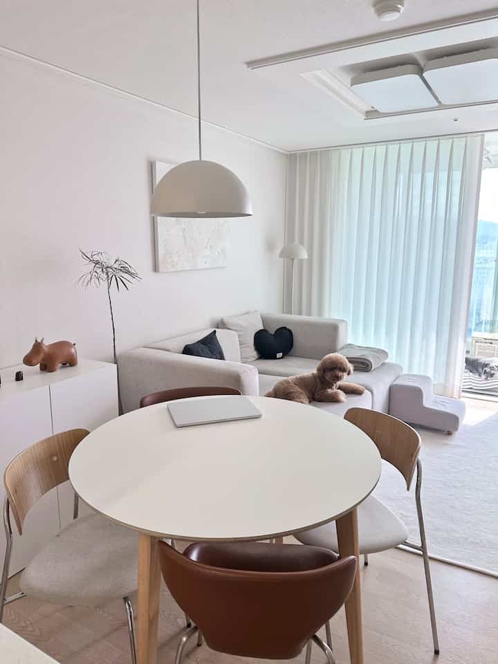 ホワイトと木目調のリビング、丸テーブルとチェア、ソファに座る犬のいるモダンで温かみのあるインテリア