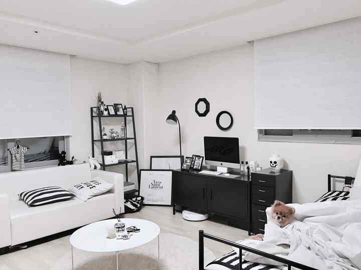 白と黒のワンルームリビング、ソファとコンピューターデスクが配置されたモダンで清潔感のあるインテリア