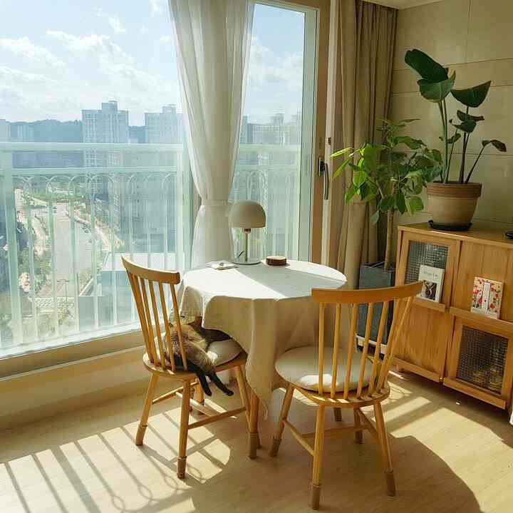 Bright wood-tone living room with curtains, table and chairs, a cat resting comfortably, creating a natural atmosphere