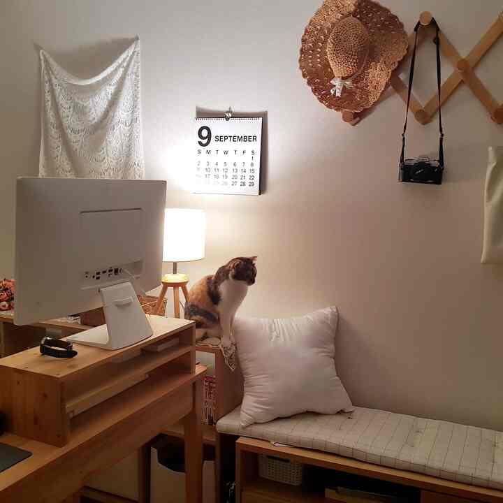 ナチュラルな木目調とベージュの壁が調和する小さな部屋、モニタースタンド付きのデスクと猫がいる居心地の良いホームオフィス