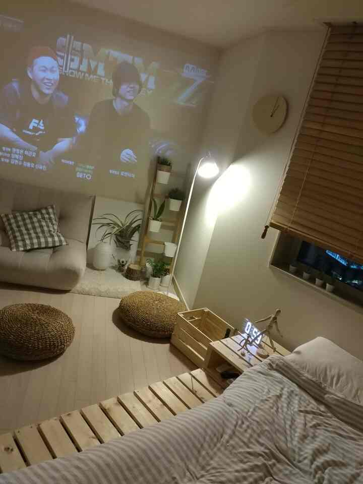 Light brown wood tone and white-walled studio living room featuring sofa, bed, floor lamp, and plants creating a cozy atmosphere