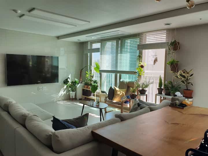 Bright beige and natural wood tone living room featuring large sofa, dining table, and various hanging plants creating a cozy atmosphere