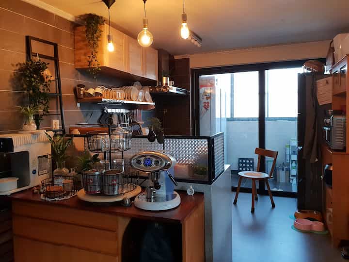 Cozy kitchen space in warm wood tones featuring ample kitchen storage ideas and pet accessories