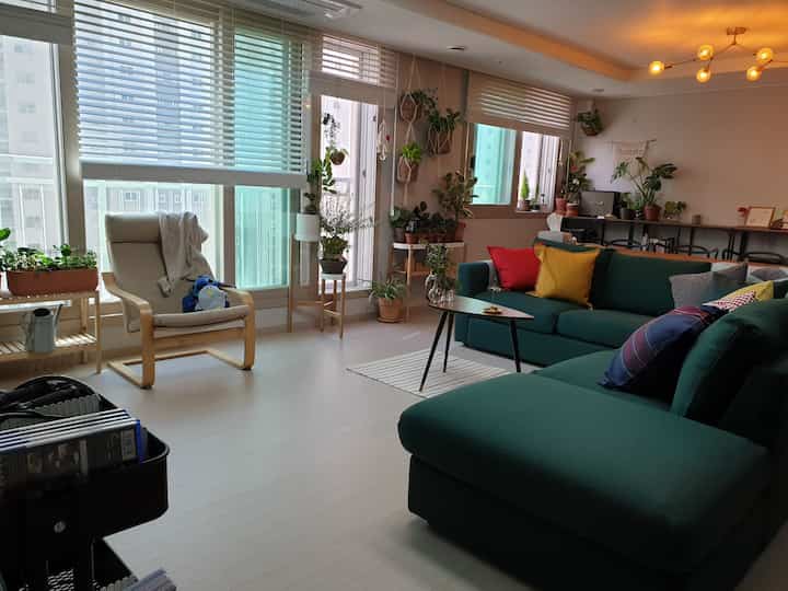 White-tone walls and curtains, green sectional sofa with colorful cushions, and various plants create a cozy living room space
