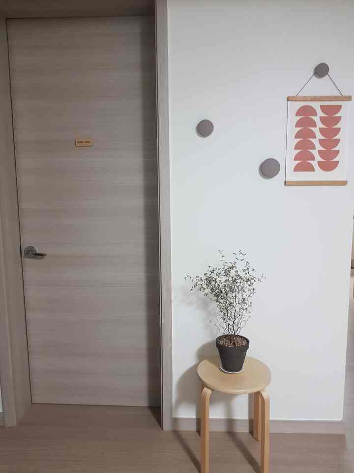 Minimal hallway space with white walls and natural wood tone stool topped with a plant, featuring a door labeled 'Study Room'