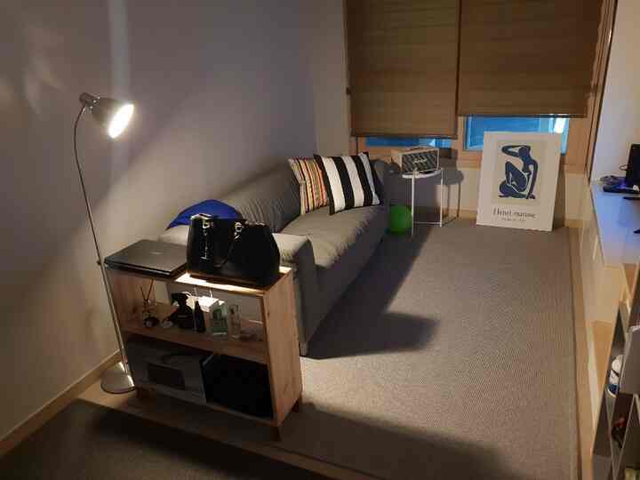 Modern, compact studio apartment living room with gray sofa and wooden shelving in narrow loft space