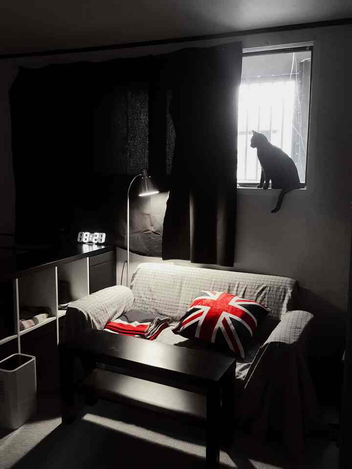 Black and white tone semi-basement room featuring a black cat on the windowsill and a Union Jack cushion on a minimalist sofa