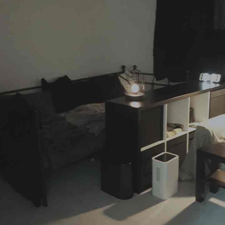 Black and white toned compact basement bedroom featuring a sofa bed, shelf unit, and daybed with cozy atmosphere