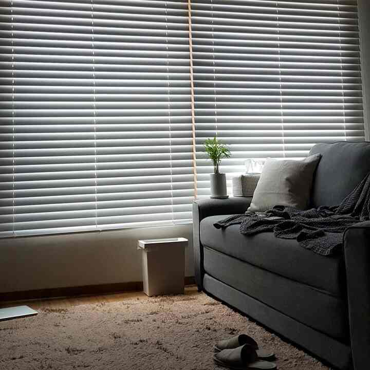 Living room with white blinds, gray sofa bed, and beige carpet creating a cozy atmosphere