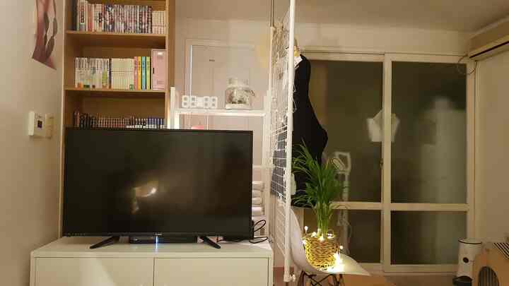 白と茶色のトーンのワンルームリビング、テレビ台とシンプルな収納家具、植物が配置された落ち着いた空間