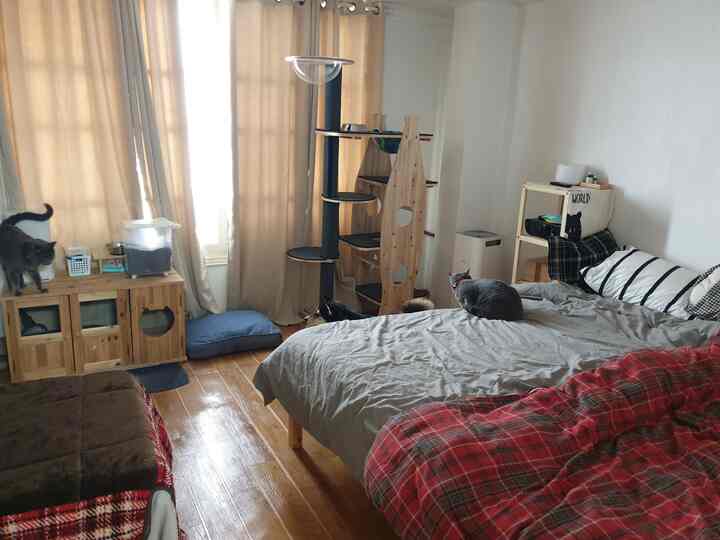 ナチュラルな木目調とブラウンの床が調和する寝室、猫たちとキャットタワーが配置された落ち着いたインテリア