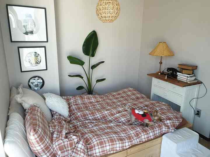 Beige-walled natural wood tone bedroom featuring checkered duvet cover and small dog, creating a cozy atmosphere