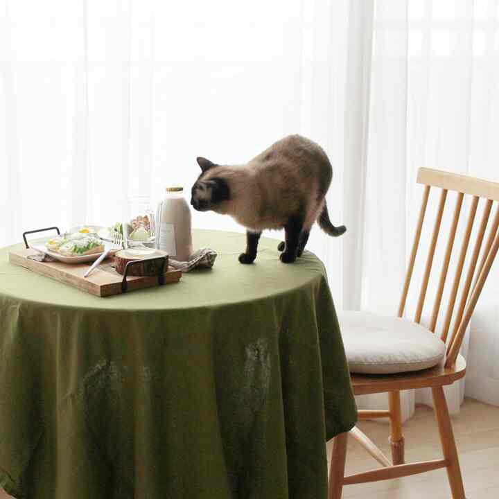 Natural wood tones and green linen tablecloth adorn a round home cafe dining table with a cat exploring the tabletop